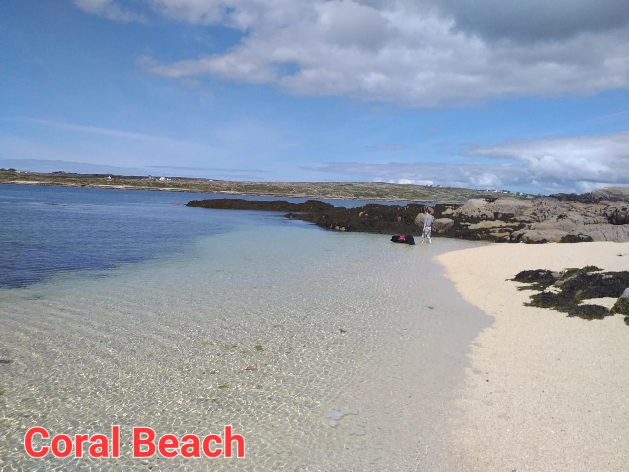 Connemara Lake View Apartment Camus Eighter Bagian luar foto