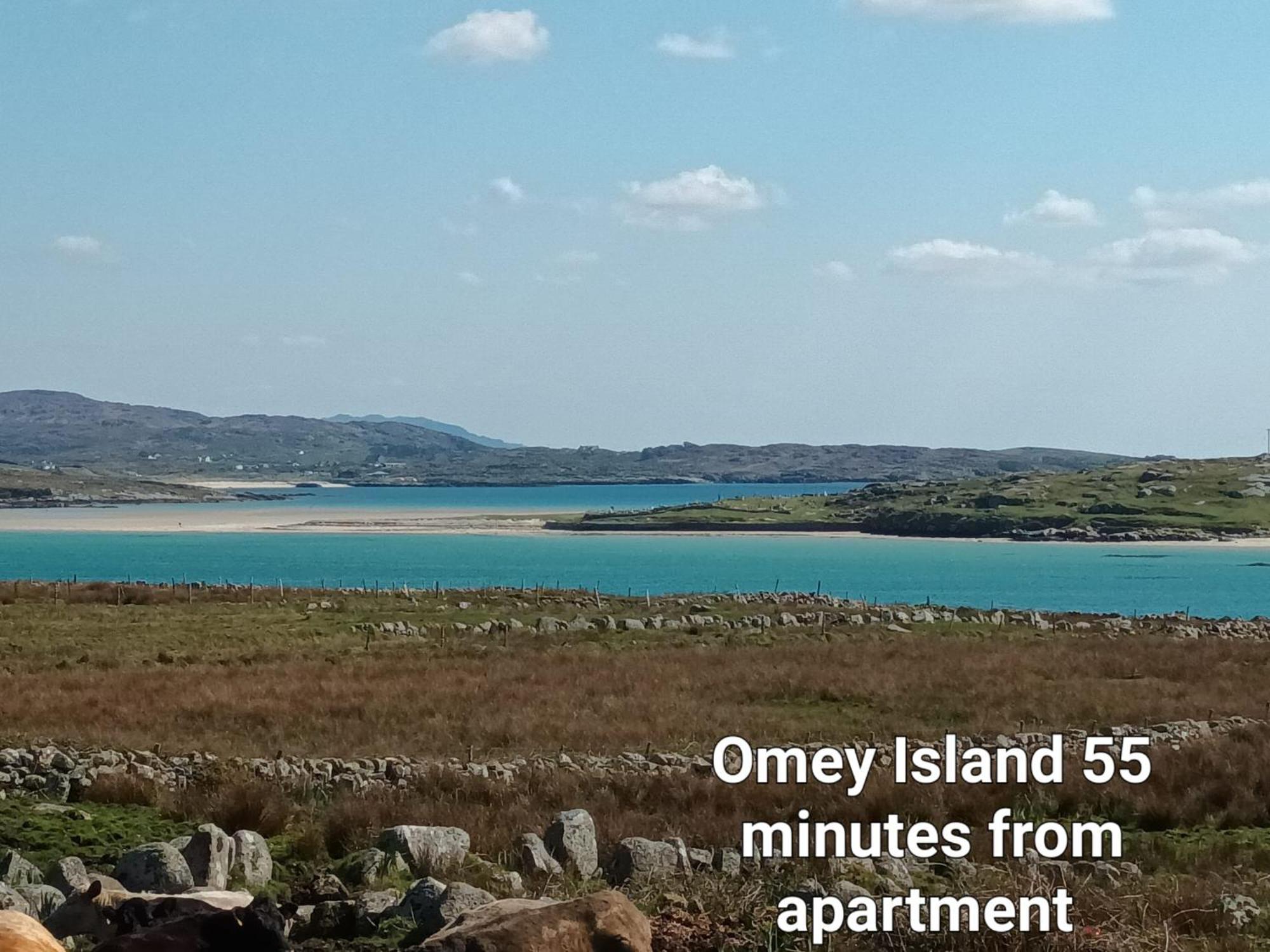 Connemara Lake View Apartment Camus Eighter Bagian luar foto