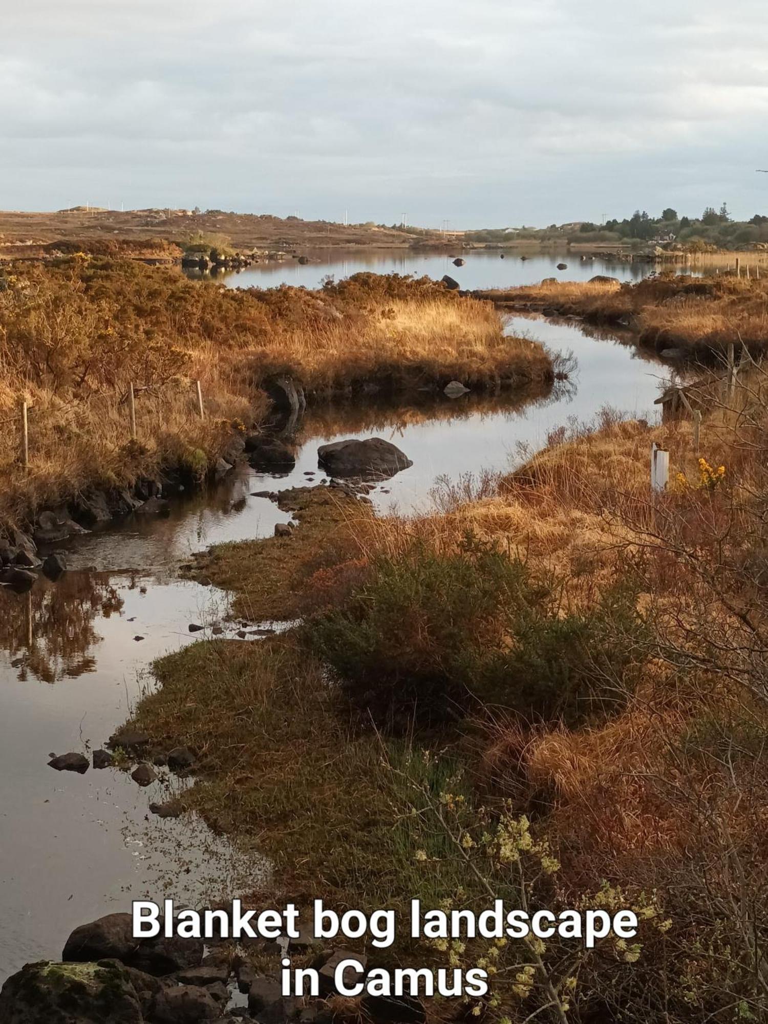Connemara Lake View Apartment Camus Eighter Bagian luar foto