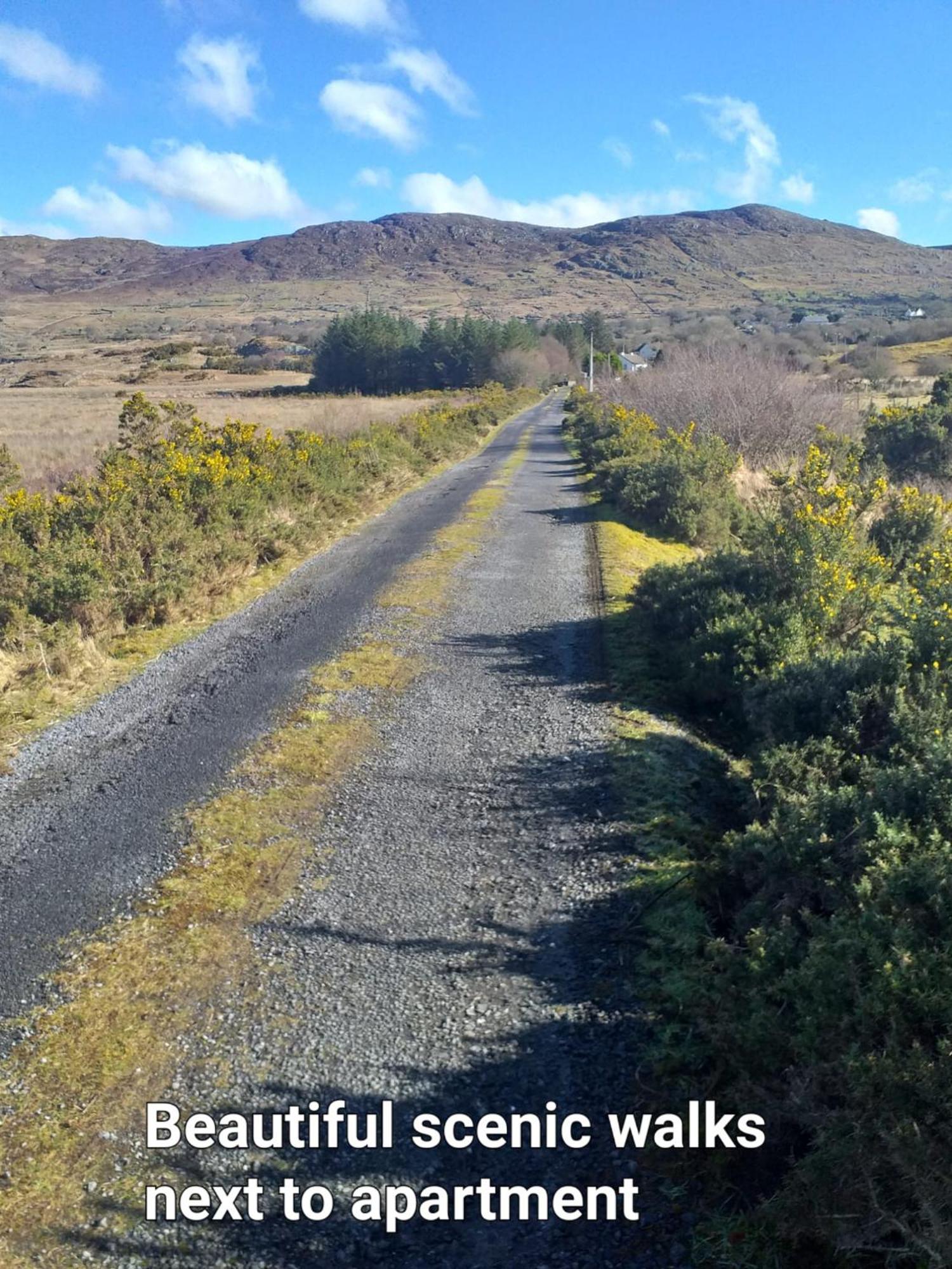 Connemara Lake View Apartment Camus Eighter Bagian luar foto