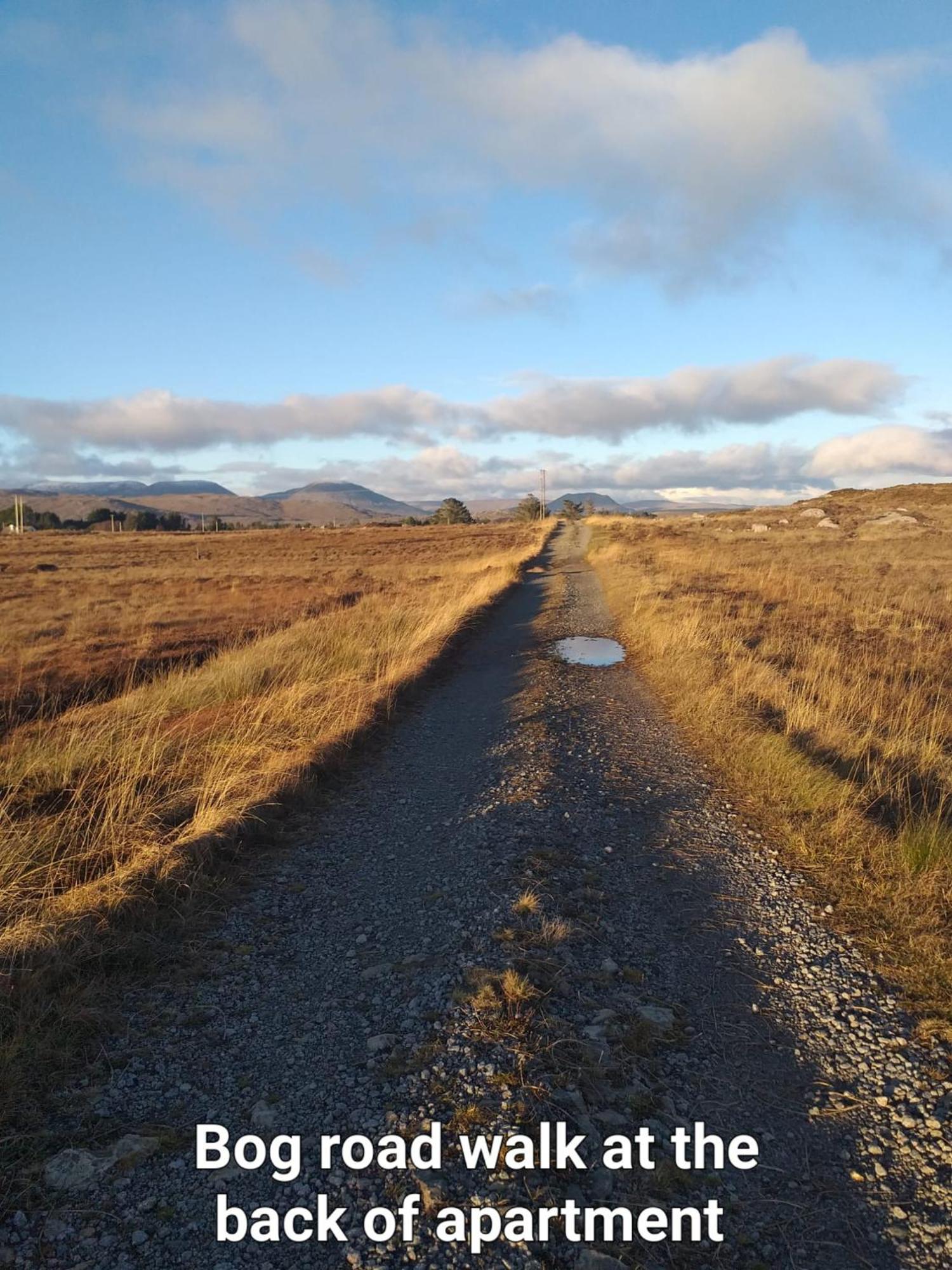 Connemara Lake View Apartment Camus Eighter Bagian luar foto