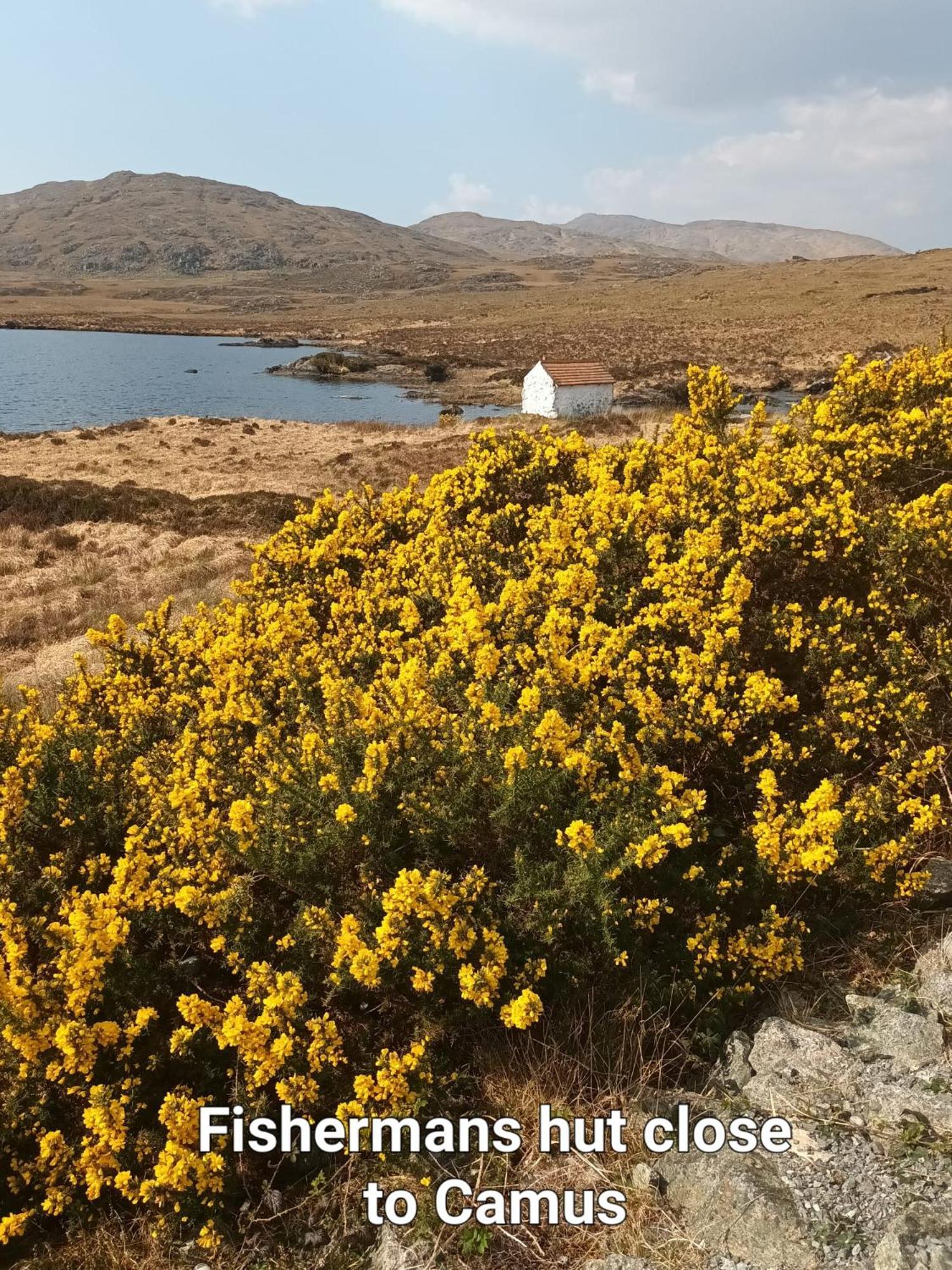 Connemara Lake View Apartment Camus Eighter Bagian luar foto